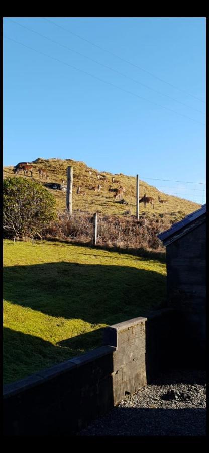 Stags View Holiday Home ポートリー エクステリア 写真